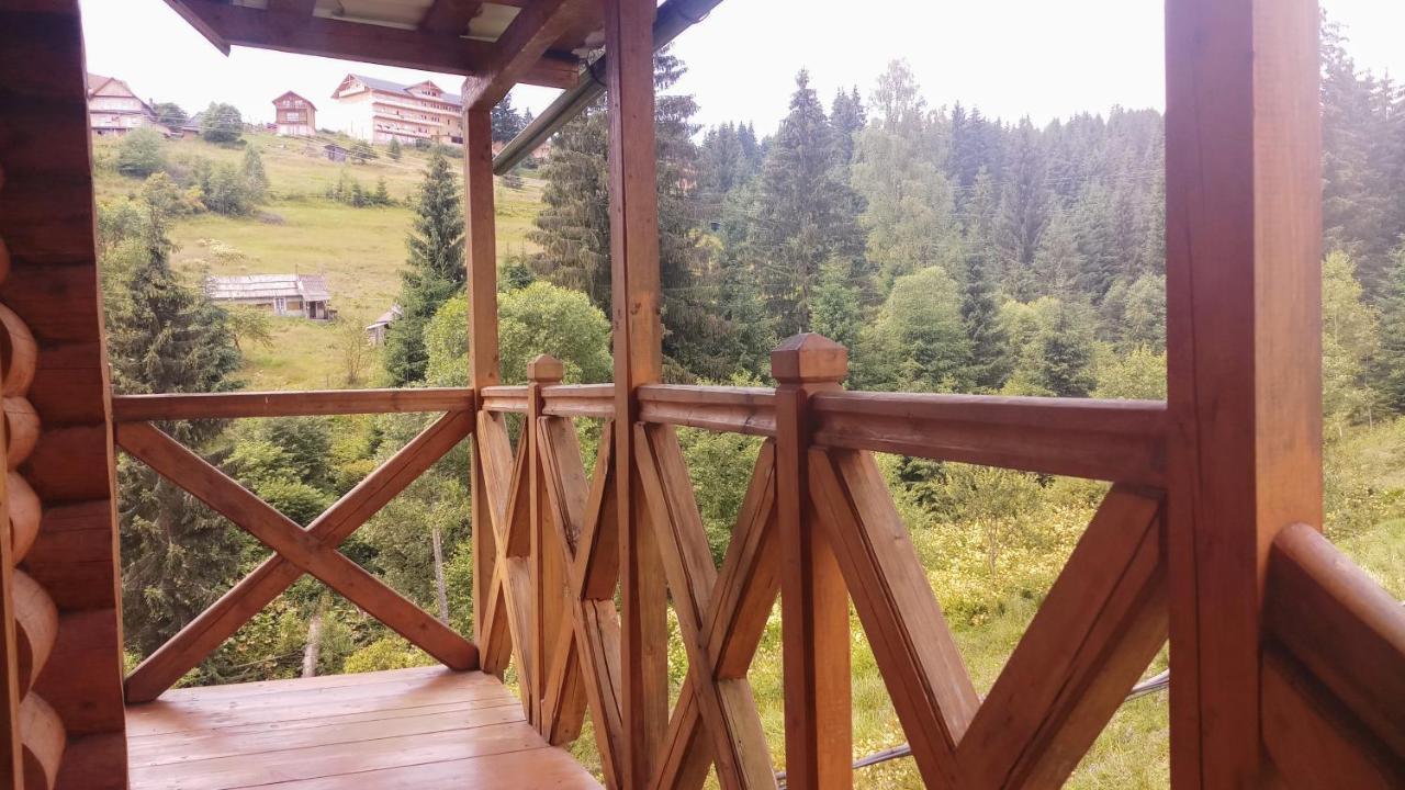 "Лісова Ягода" Yablunytsya Extérieur photo